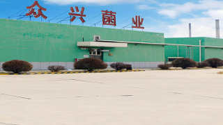 163,眾興菌業,119,復產,復工,使然 眾興菌業預告全年業績暴增119%至163%  復產復工使然還是員工持股計劃奏效？