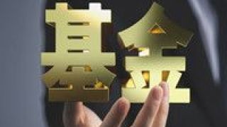 抗跌,逆勢,明星,凈值,風格,價值 凈值逆勢上漲 價值風格基金成“抗跌明星”