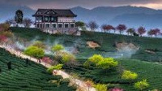 民宿,競(jìng)相,細(xì)分,激活,旅游,布局 “民宿+”激活細(xì)分市場(chǎng) 旅游企業(yè)競(jìng)相布局