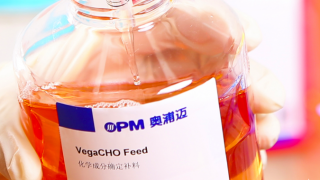 募投,IPO,奧浦邁,電鰻,嚴(yán)峻,消化 電鰻財(cái)經(jīng)|奧浦邁IPO競(jìng)爭(zhēng)形勢(shì)嚴(yán)峻研發(fā)投入持續(xù)下滑 募投項(xiàng)目產(chǎn)能消化存風(fēng)險(xiǎn)