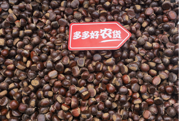 電鰻,懷揣,扎根,擁抱,夢(mèng)想,企業(yè)家 電鰻財(cái)經(jīng)|懷揣“夢(mèng)想”扎根大地?fù)肀录夹g(shù) 每個(gè)村莊都該有個(gè)“村民企業(yè)家”