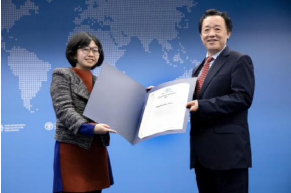2022,聯合國糧農組織,普惠,助力,多多,年度 助力農業科技普惠，拼多多獲聯合國糧農組織2022年度創新獎