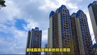 電鰻 電鰻號|碧桂園高管降薪，楊惠妍財富縮水200億