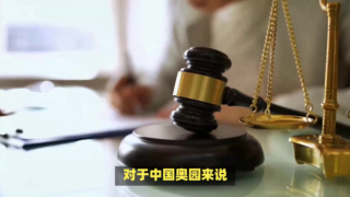 電鰻 電鰻號|頭部房企隕落，破產(chǎn)保護(hù)能否帶來新生？