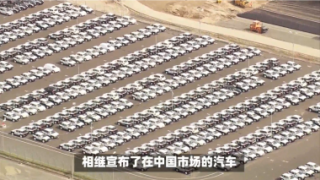 電鰻 電鰻號|車企召回風(fēng)波：車主權(quán)益如何得到保護(hù)？