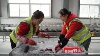 就業(yè),電商,5500,社科,多多,系統(tǒng)性 中國社科大報告：拼多多系統(tǒng)性激發(fā)電商就業(yè)生態(tài)二次繁榮，帶動逾5500萬人就業(yè)